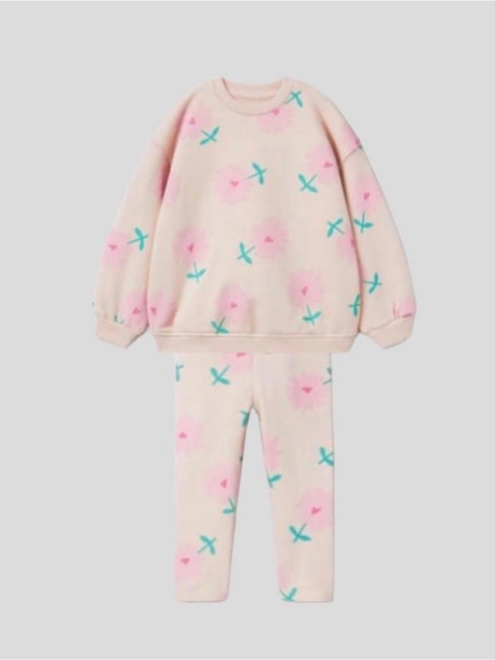 Zara Girls Pink Floral Pants and Sweatshirt Set, Size 2-3, New without Tags